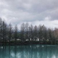蝦拼(團購、代購）群