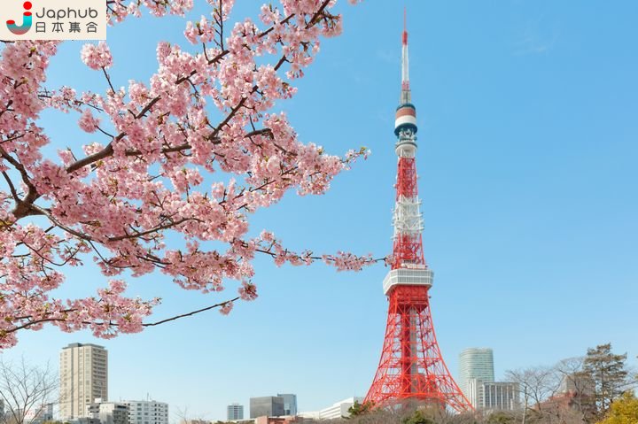 好易去 10大東京市內賞花熱點 Line購物