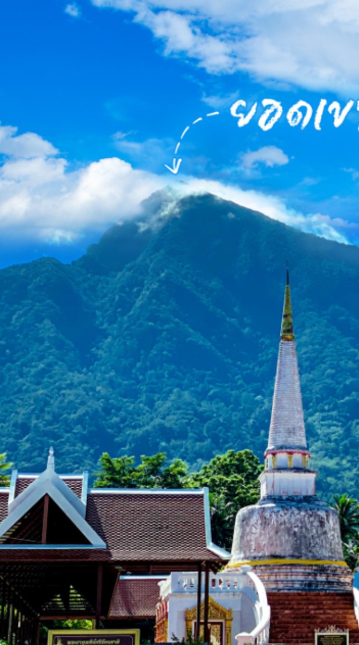 ช้างกลาง