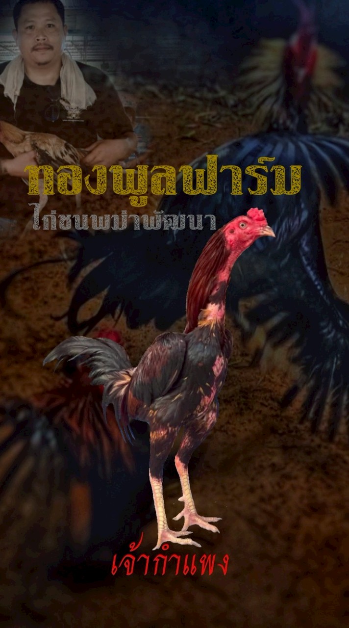 ทองพูลฟาร์ม