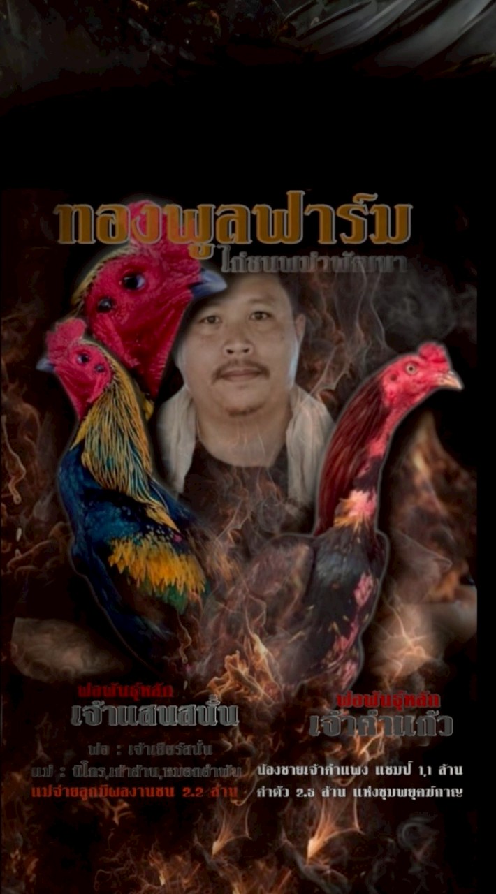 ซุ้มไก่ชน ทองพูลฟาร์ม