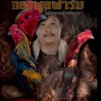 ซุ้มไก่ชน ทองพูลฟาร์ม