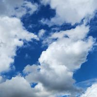 歌雑オプ❗皆で楽しも～❗