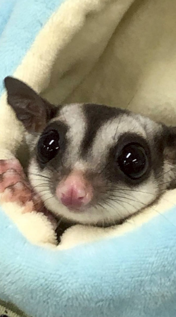 開明　生物部