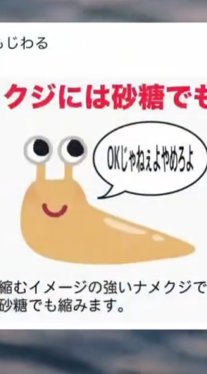 実は実はあんスタCAOS緩也ZONE❗❗❓🌚🌚🌚🌚🌚