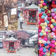 京都必去【金剛寺 八坂庚申堂】從清水寺走路8分鐘就到的熱門景點,庚申信仰