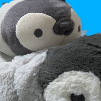 サーモン独り占め