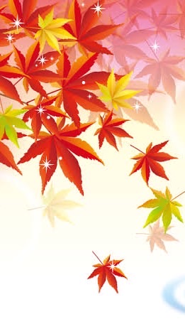 11/3🍁秋空の下でPark Yoga🍁