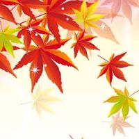 11/3🍁秋空の下でPark Yoga🍁