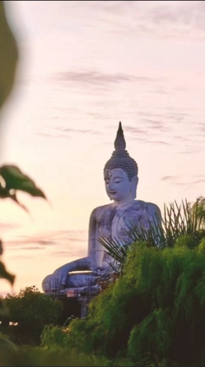 ปฎิบัติธรรม ดูจิต จบจิต 🧘