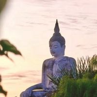 ปฎิบัติธรรม ดูจิต จบจิต 🧘 (กลุ่มฝ้าย)