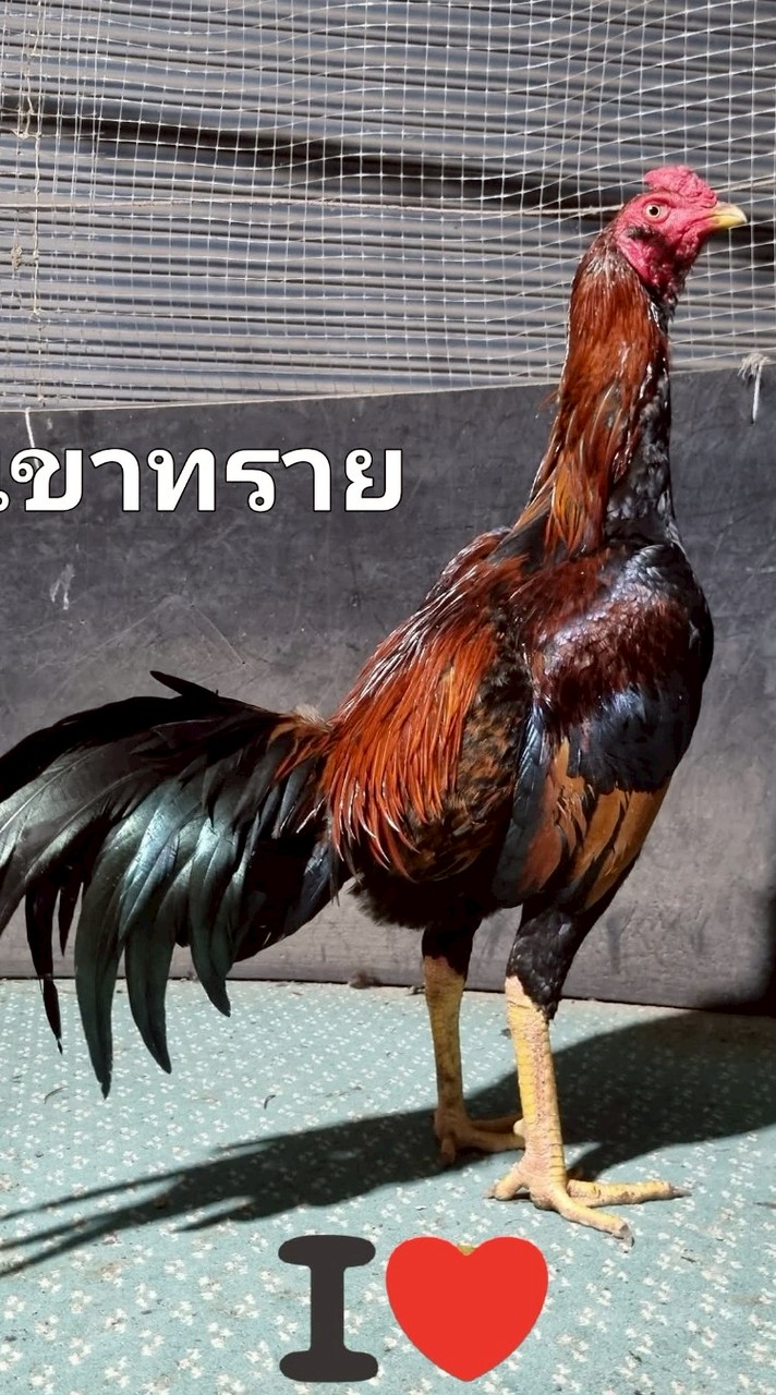 ถาวรการเกษตร1