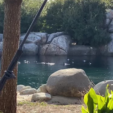 東京ディズニーシーのundefinedに実際訪問訪問したユーザーunknownさんが新しく投稿した新着口コミの写真