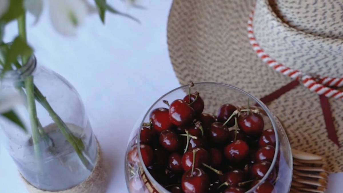 GLOBALink Chile kicks off fresh fruit export season with eye on