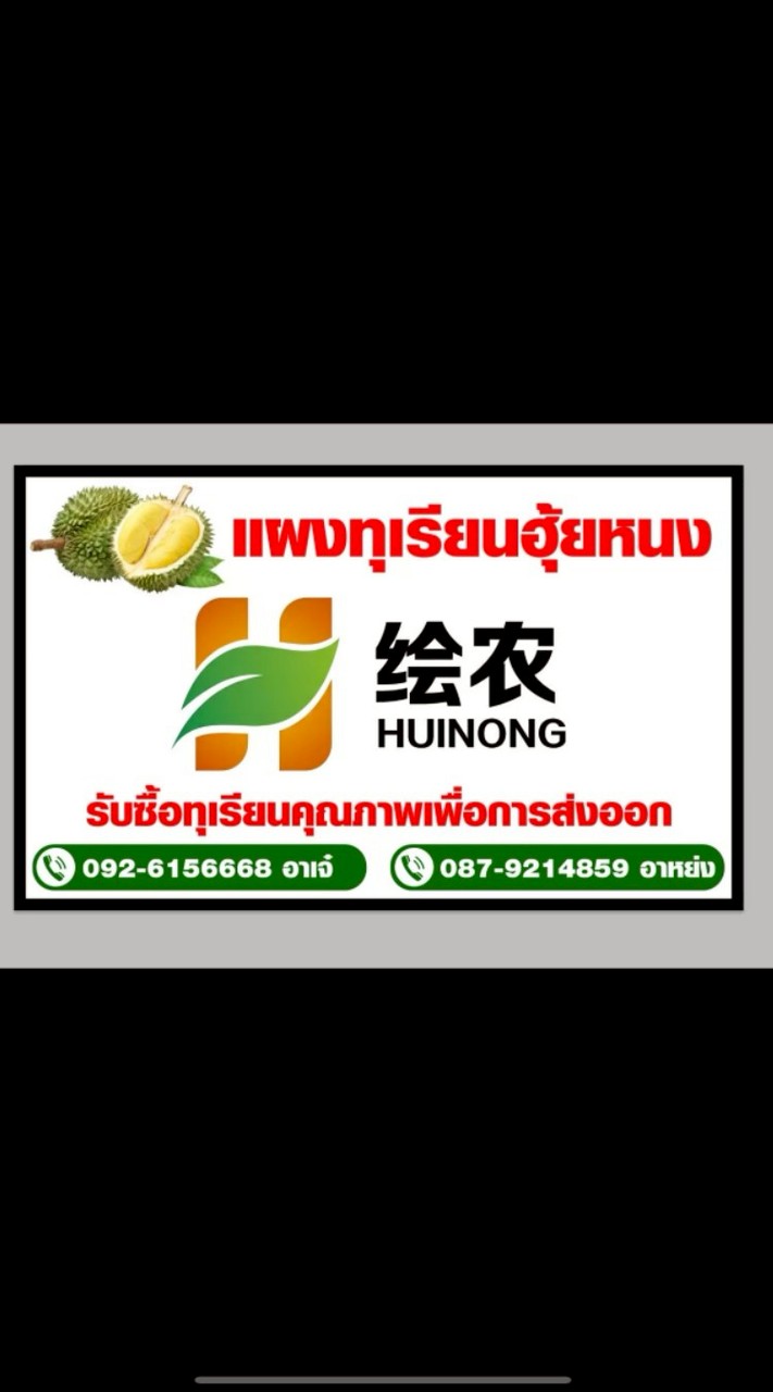 แผงทุเรียนฮุ้ยหนงหลังสวนชุมพร