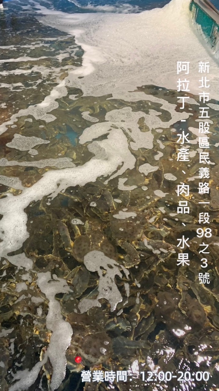 💎阿拉丁🦀️活鮮水產🦐🦞肉品🥩水果🍉