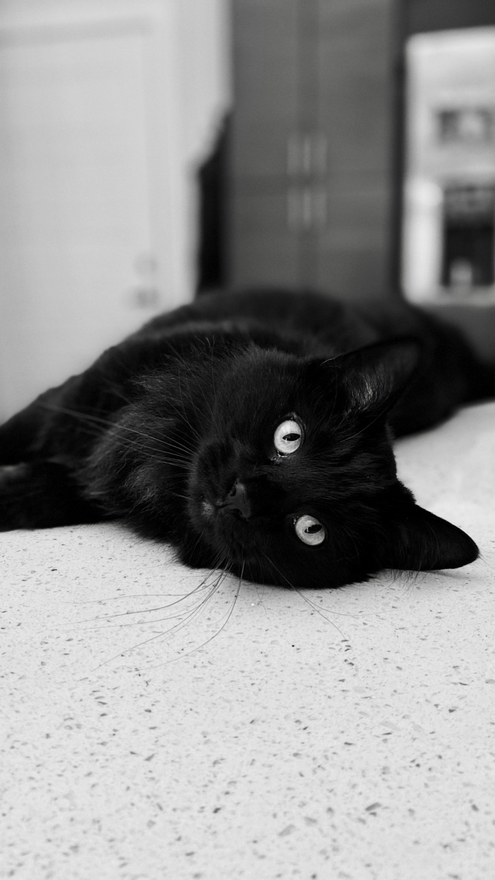 PM讀書會-人生就是個大型產品