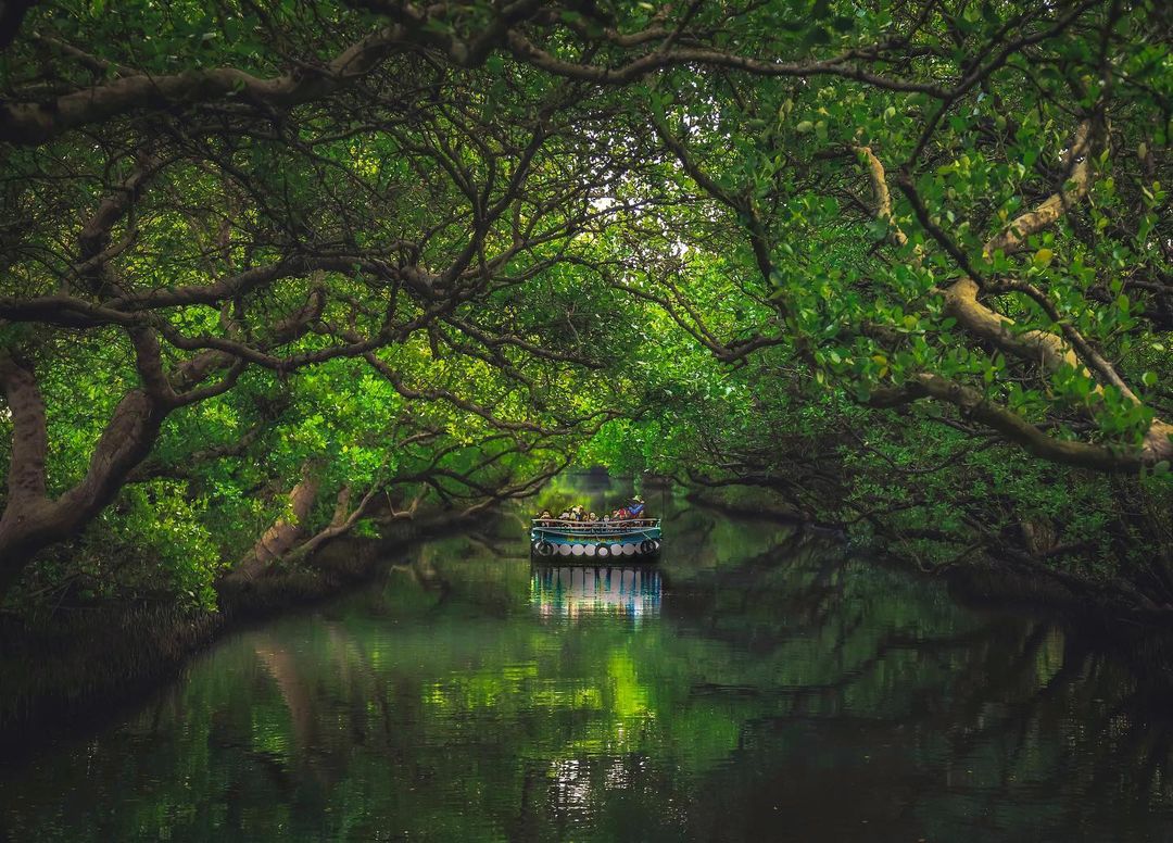 四草隧道 @kevin O322