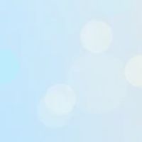 ボーダーコリー大好き！
