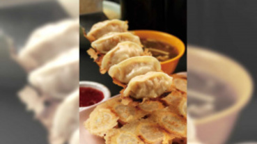 小餃子大花招6／有煎餃子館 椒麻香惹饞