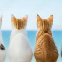 🌿50代60代の癒やしルーム🌿