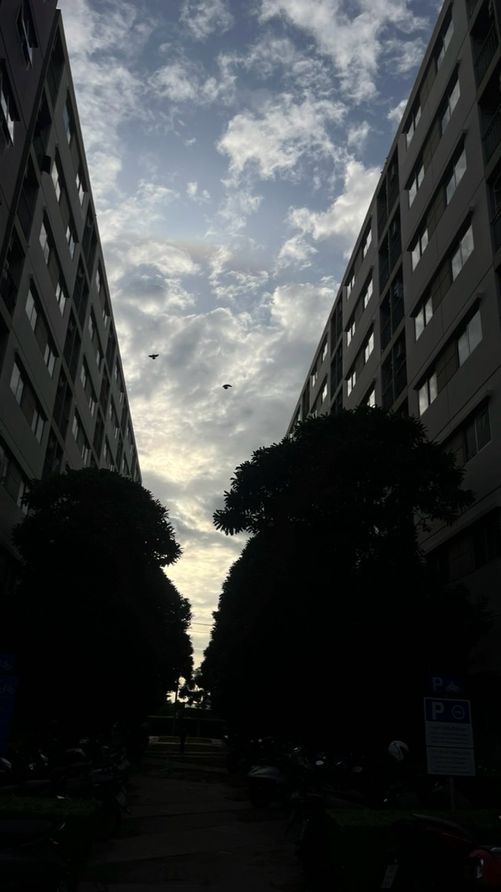 ลูกบ้านลุมพินี LTS-RK1 (พูดคุย)🏠