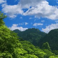 創価学会と障害者と理解者