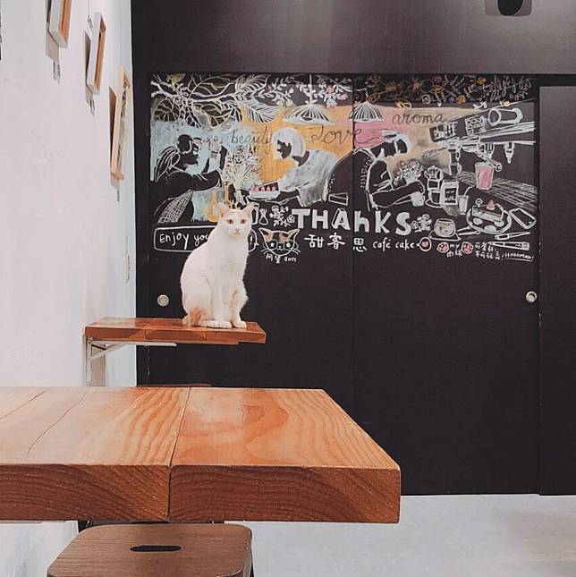 (圖片來源IG：@mayday2000.tw)