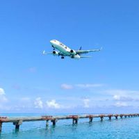 沖繩台灣人的沖繩旅遊