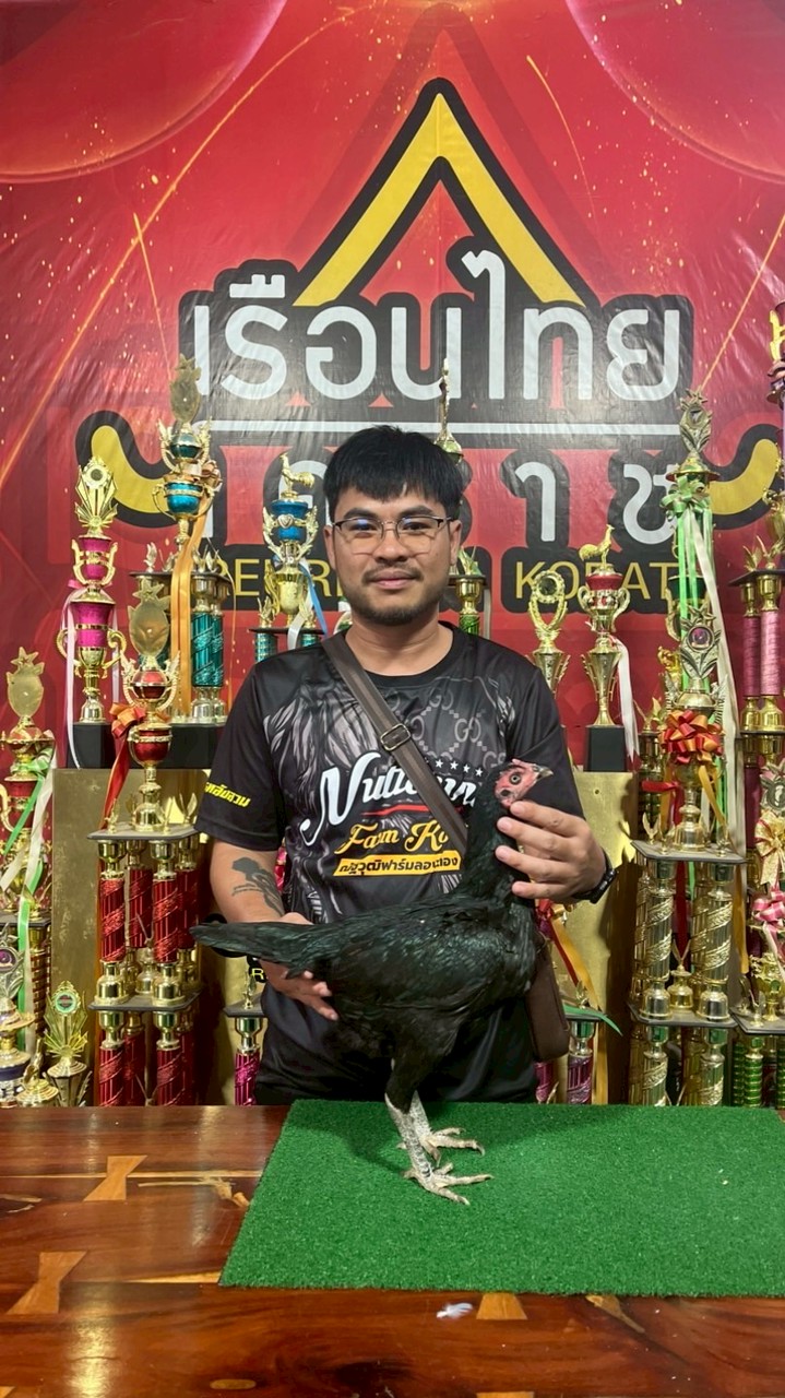 ณัฐวุฒิฟาร์มโคราช 🐓