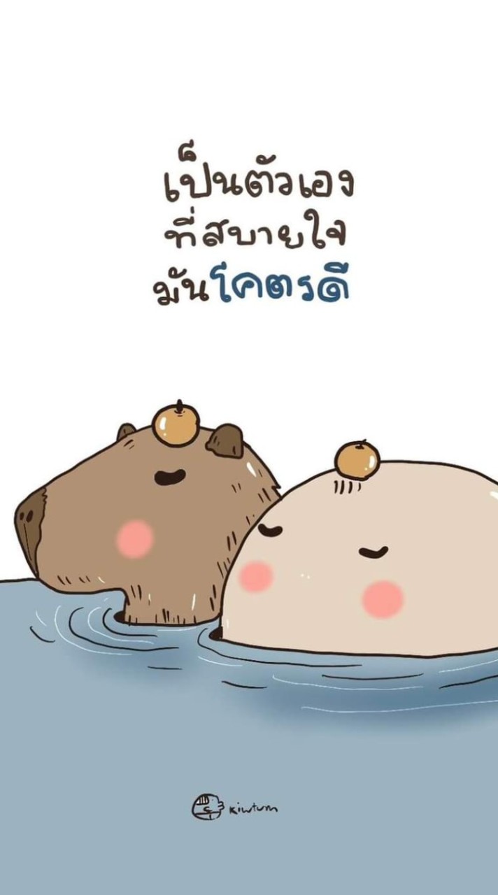 เกมเต้เกมเกลือ