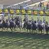 競馬宣伝コミュニティ