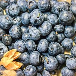 美國空運藍莓_125g*12盒/件