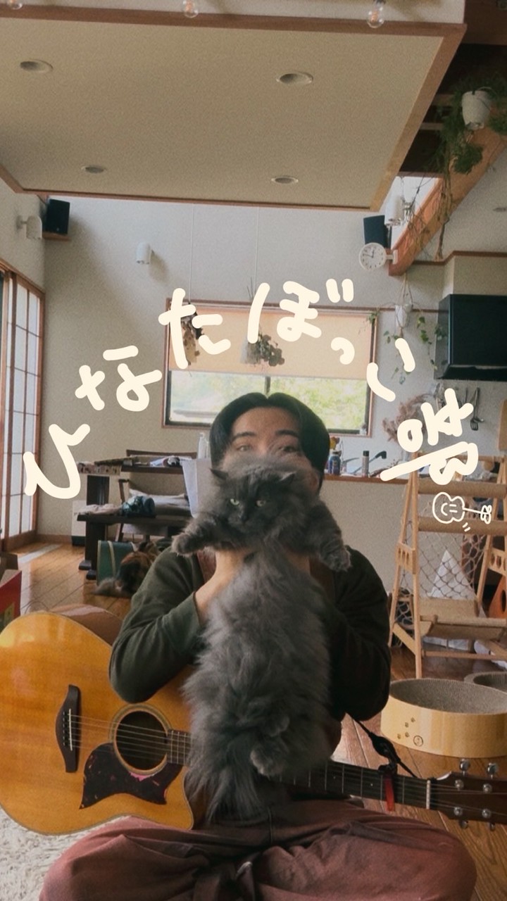 ひなたぼっこ部☀️陽向言成ライブ情報