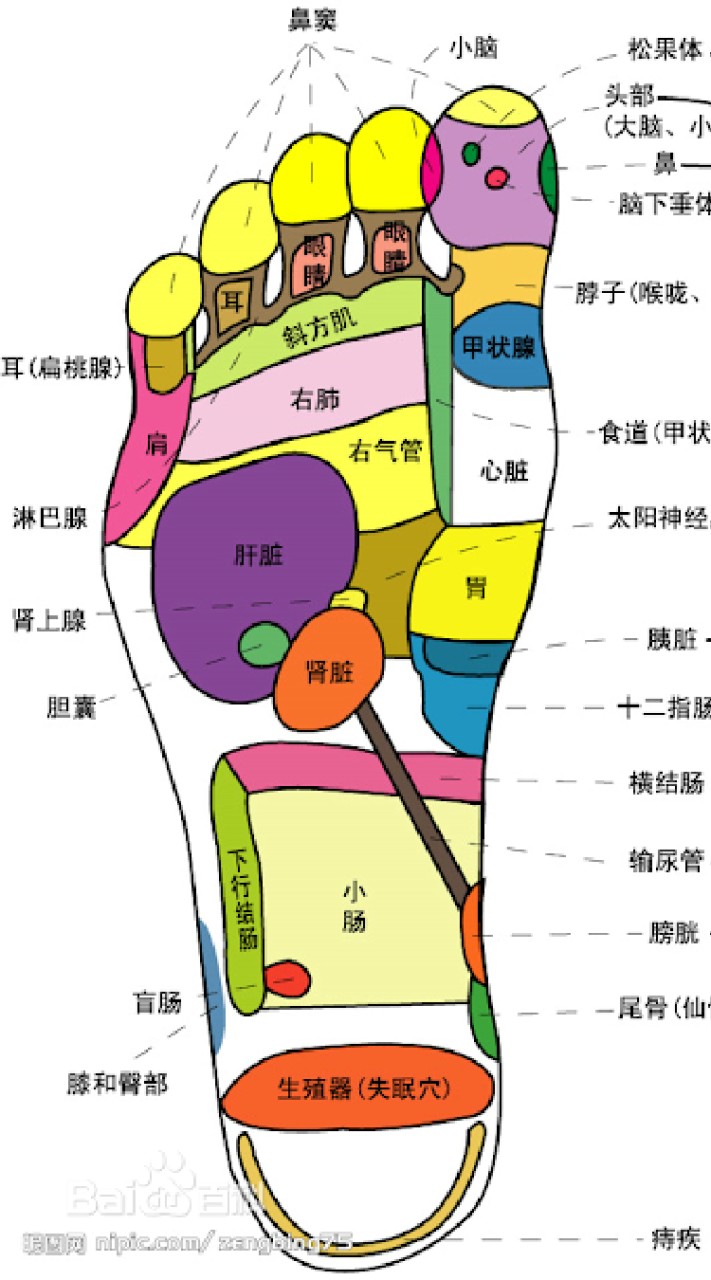 台中到府居家✨按摩✨