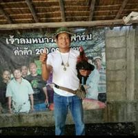 ส.สมศักดิ์ฟาร์มอยุธยา