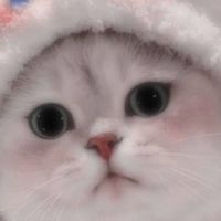 กลุ่มคนรักแมว😽💖