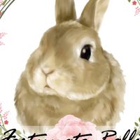 兔子腳手工花藝🐰