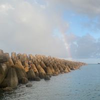 台中約釣趣🎣