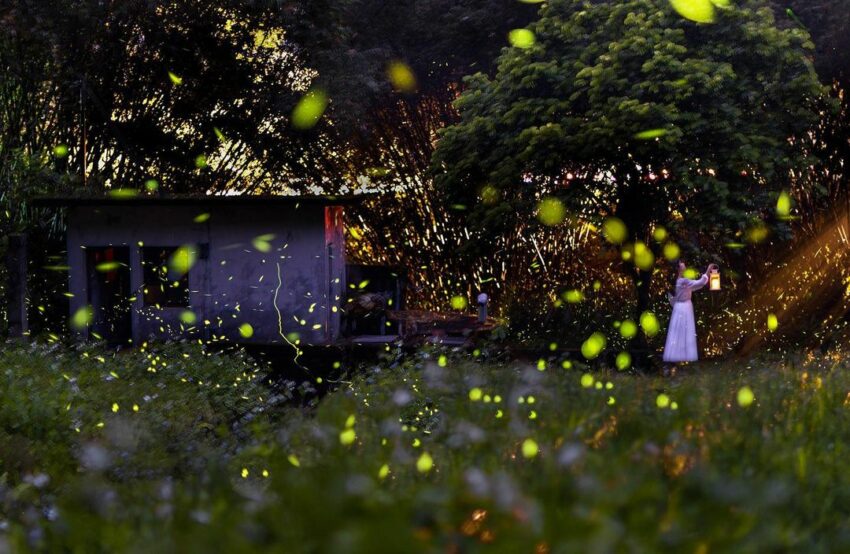 圖片來源：IG＠sky_kuei