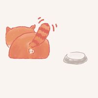 貓貓健康飲食討論群
