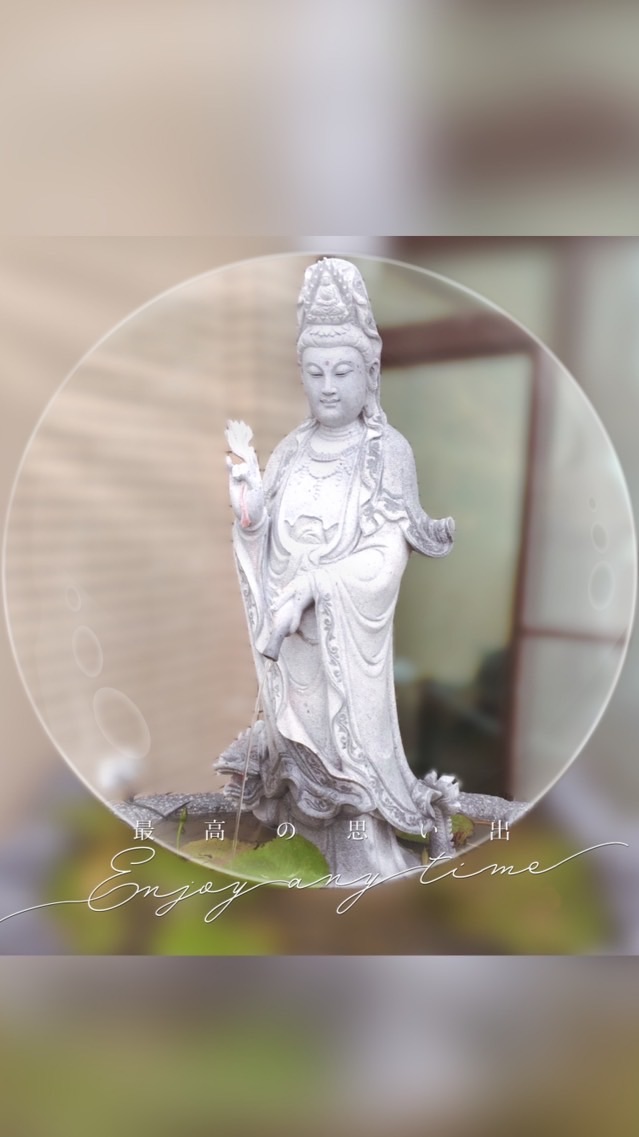 🍵太極門院🍃