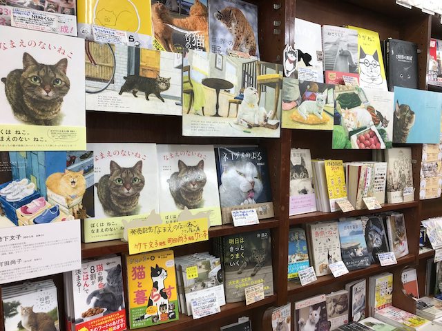 猫書店 12