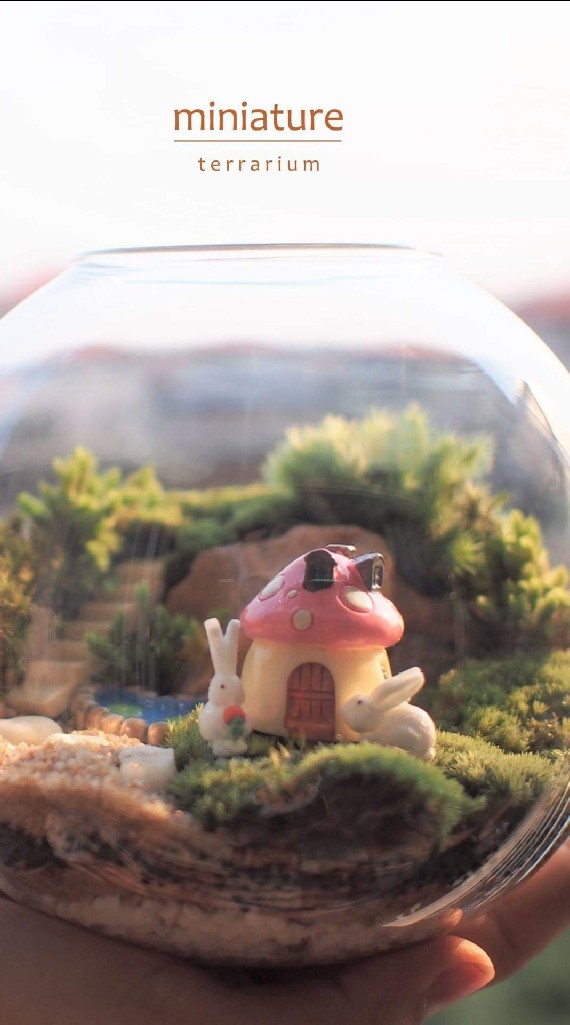 miniature terrarium