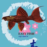 青桑魚池 👺EZ Fish Aquarium 水族特區