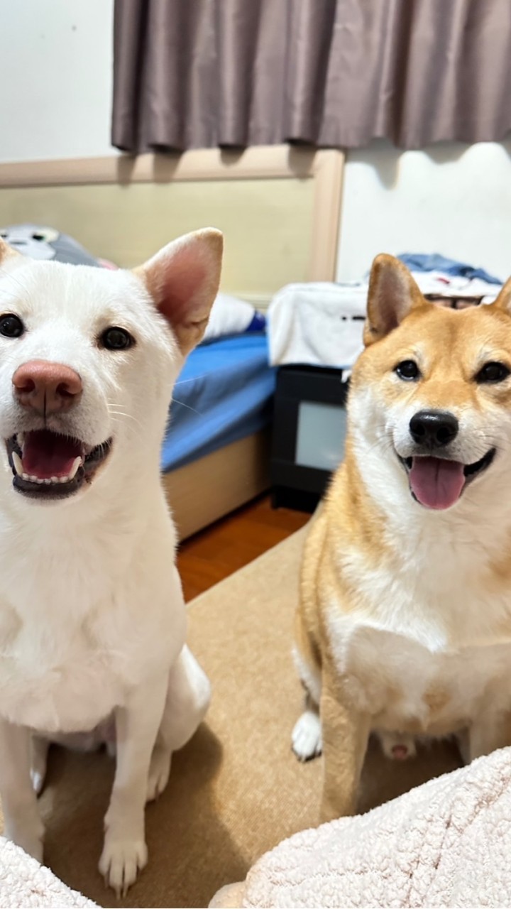 芋頭芋圓零食鋪