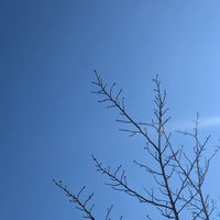 発達障害とともに生き抜こうぜ✨️