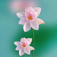 演說家必有美意