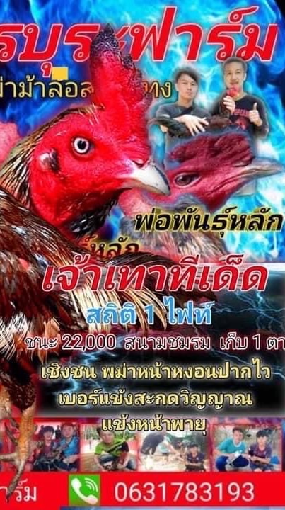 ซุ้ม.เพชรบุระ พม่าเบอร์แข้ง สายเลือดเงินล้าน