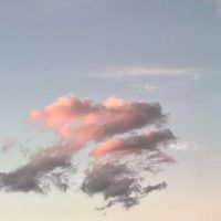 交朋友 歡迎各地的帥哥正妹